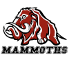 Prerov Mammoths